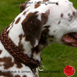 Cara-präsentiert-„Das-Kleine-Schwarze