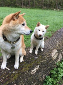 Chakira-und-Yuri-im-Partnerlook-1    