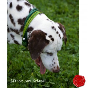 Crissie-von-Rebecko