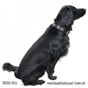 DIEGO4