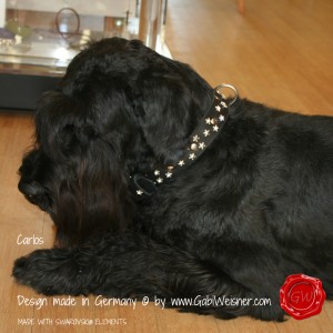 DODG-COLLAR-MADE-WITH-SWAROVSKI-ELEMENTS-2