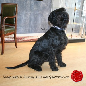 DODG-COLLAR-MADE-WITH-SWAROVSKI-ELEMENTS-3