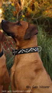 DODG-COLLAR-MADE-WITH-SWAROVSKI-ELEMENTS-8