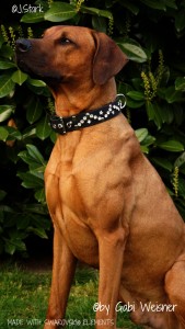 DODG-COLLAR-MADE-WITH-SWAROVSKI-ELEMENTS-9