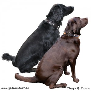 Diego-und-Paula-2011