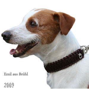 Emil