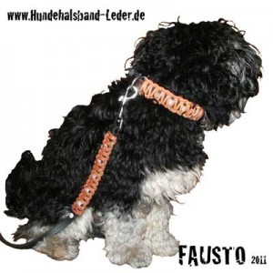FAUSTO-4