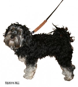 FAUSTO