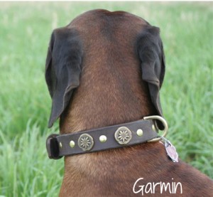 Garmin-1