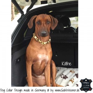 Goldstück Hundehalsband 4        