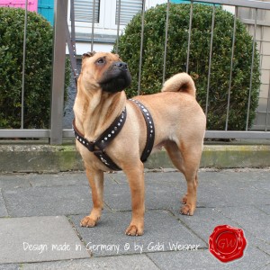 Hundegeschirr-Leder-Swarovski-Cinderella-Jacobs-1
