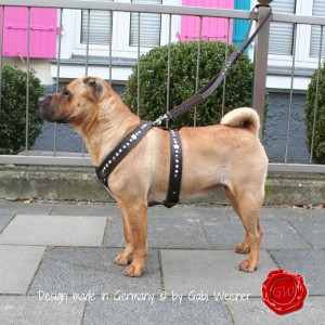 Hundegeschirr-Leder-Swarovski-Cinderella-Jacobs