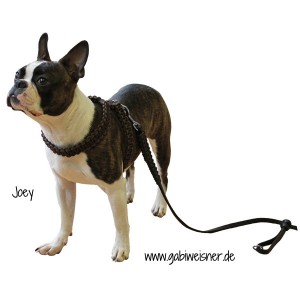 Hundegeschirr-Leder-braun-Joey