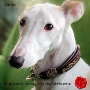 Hundehalsband Ledermix-1 (1)