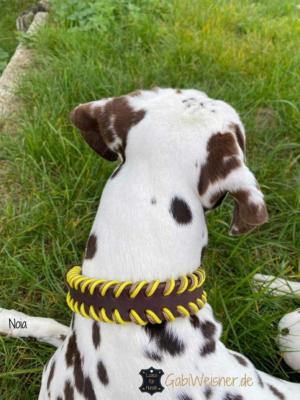 Hundehalsband-25-mm-breit-Leder-Indianer-Dalmatiner-Noia