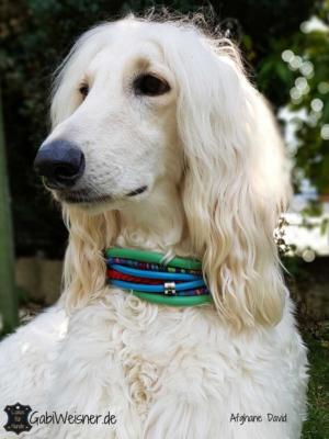 Hundehalsband-6-cm-breit-Zugstopp-Afghane-David