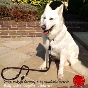 Hundehalsband-Doppelstrang-Lederleine-SPRENGER-HAKEN-11