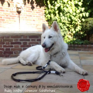 Hundehalsband-Doppelstrang-Lederleine-SPRENGER-HAKEN-12