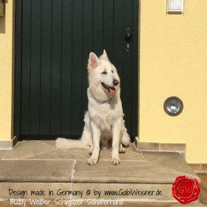 Hundehalsband-Doppelstrang-Lederleine-SPRENGER-HAKEN-8