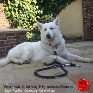 Hundehalsband-Doppelstrang-Lederleine-SPRENGER-HAKEN-9