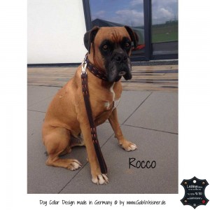 Hundehalsband-Fettleder-Rocco-2      