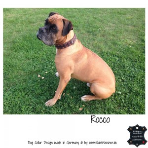 Hundehalsband-Fettleder-Rocco-4       