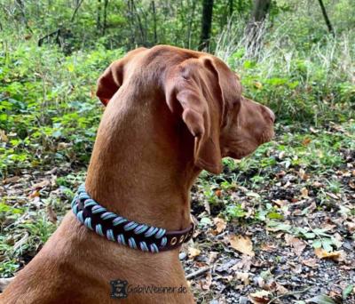 Hundehalsband-Leder-2-cm-breit-Braun-Flieder-Tuerkis