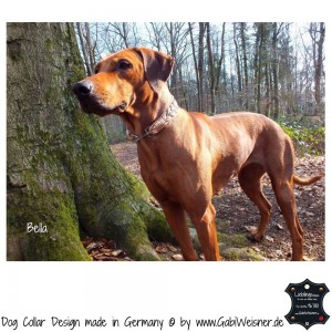 Hundehalsband-Leder-4-cm-breit-Pudertöne-Bella-1      