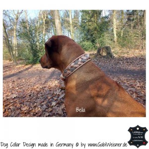 Hundehalsband-Leder-4-cm-breit-Pudertöne-Bella-2      