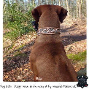 Hundehalsband-Leder-4-cm-breit-Pudertöne-Bella-3       