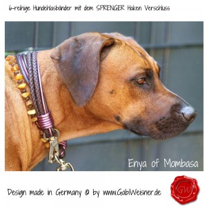 Hundehalsband-Leder-6-reihig-SPRENGER-HAKEN-GABIWEISNER-1