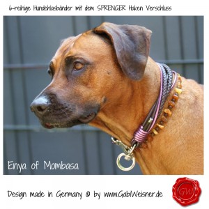 Hundehalsband-Leder-6-reihig-SPRENGER-HAKEN-GABIWEISNER-2
