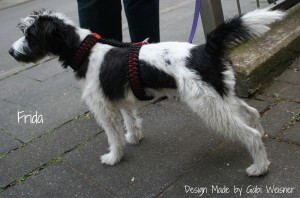 Hundehalsband-Leder-Gabi-Weisner-Frida-1