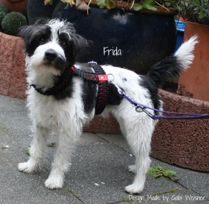 Hundehalsband-Leder-Gabi-Weisner-Frida-2
