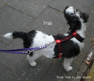 Hundehalsband-Leder-Gabi-Weisner-Frida-3
