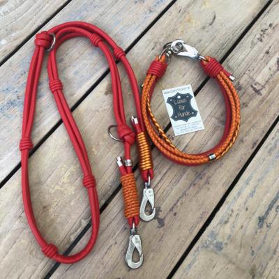 Hundehalsband-Leder-Hundeleine-rot-orange-tuerkis-1