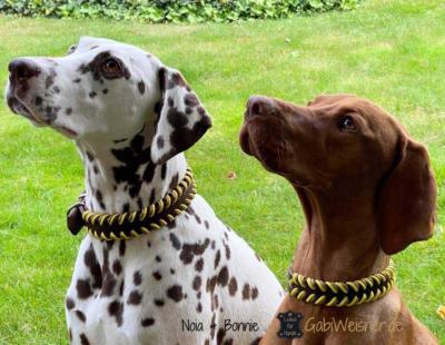 Hundehalsband-Leder-Indianer-Noia-Bonnie