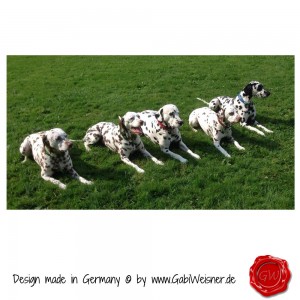 Hundehalsband-Leder-Lederhalsband-1