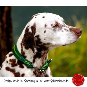 Hundehalsband-Leder-Lederhalsband-10