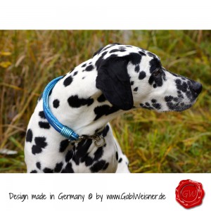 Hundehalsband-Leder-Lederhalsband-12