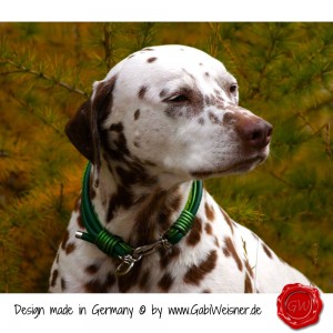 Hundehalsband-Leder-Lederhalsband-13