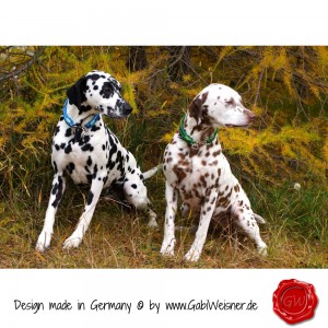 Hundehalsband-Leder-Lederhalsband-18