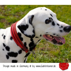 Hundehalsband-Leder-Lederhalsband-20