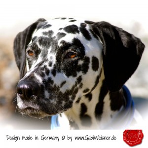 Hundehalsband-Leder-Lederhalsband-22