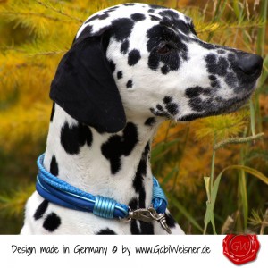 Hundehalsband-Leder-Lederhalsband-23