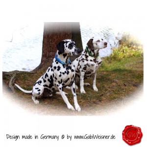 Hundehalsband-Leder-Lederhalsband-3