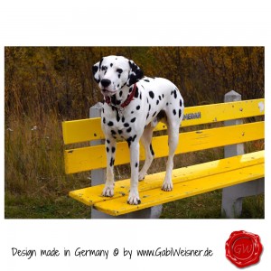 Hundehalsband-Leder-Lederhalsband-5