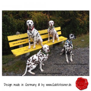Hundehalsband-Leder-Lederhalsband-6