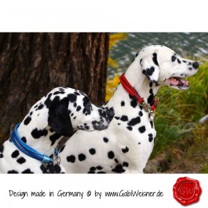 Hundehalsband-Leder-Lederhalsband-8