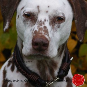 Hundehalsband-Leder-Mix-5-reihig-Olive-10